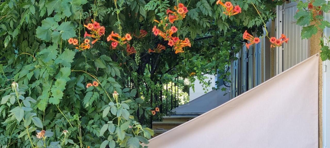 Appart'Hotel Festival Sud Aqua - Avignon Tgv Exterior foto