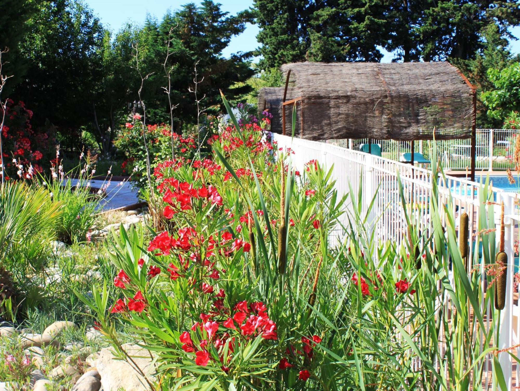 Appart'Hotel Festival Sud Aqua - Avignon Tgv Exterior foto